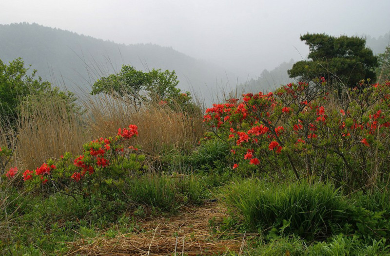 f:id:hashiba511:20120705055212j:image:w500