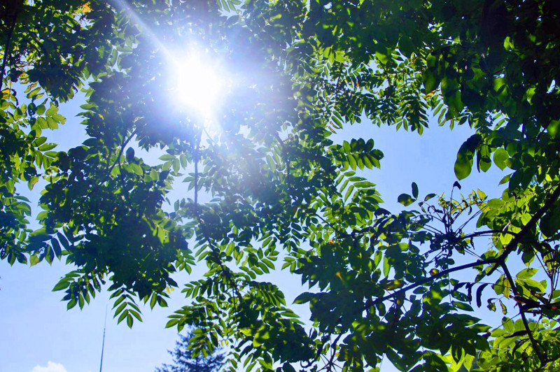 f:id:hashiba511:20120708070237j:image:w500