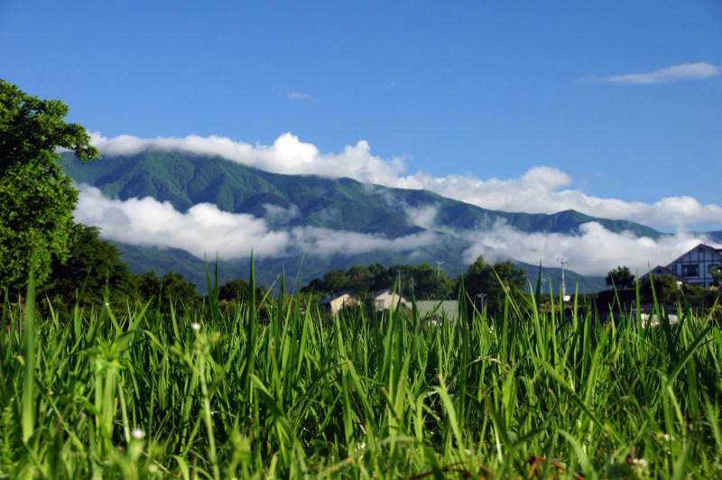 f:id:hashiba511:20120708070240j:image:w500