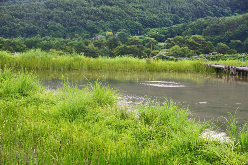 f:id:hashiba511:20120709044146j:image:w500