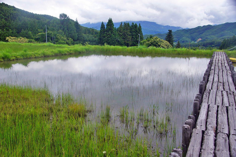 f:id:hashiba511:20120709044148j:image:w500