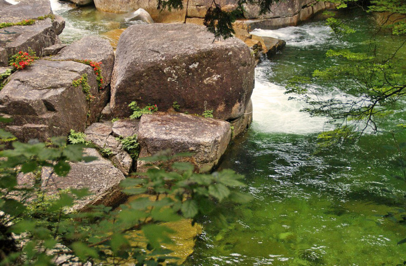 f:id:hashiba511:20120713041139j:image:w500
