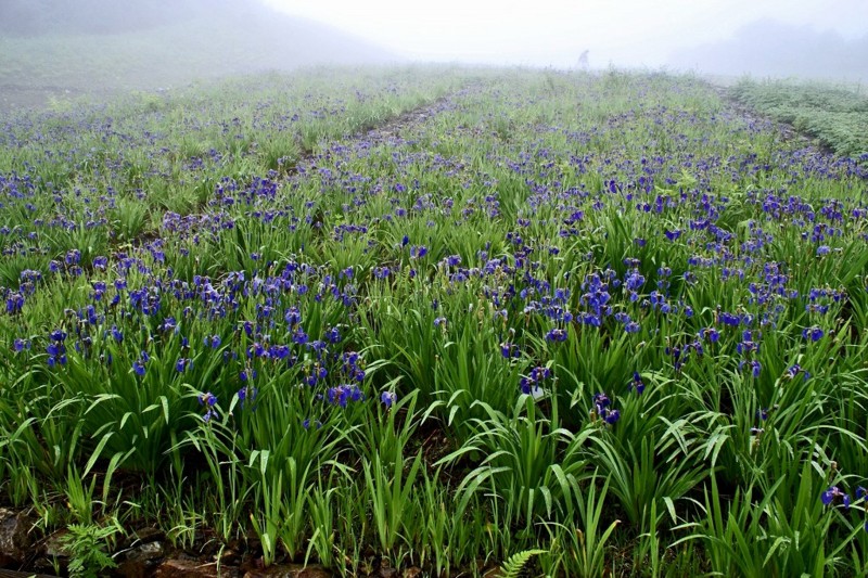 f:id:hashiba511:20120715053358j:image:w500
