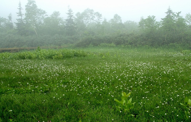 f:id:hashiba511:20120715054616j:image:w500