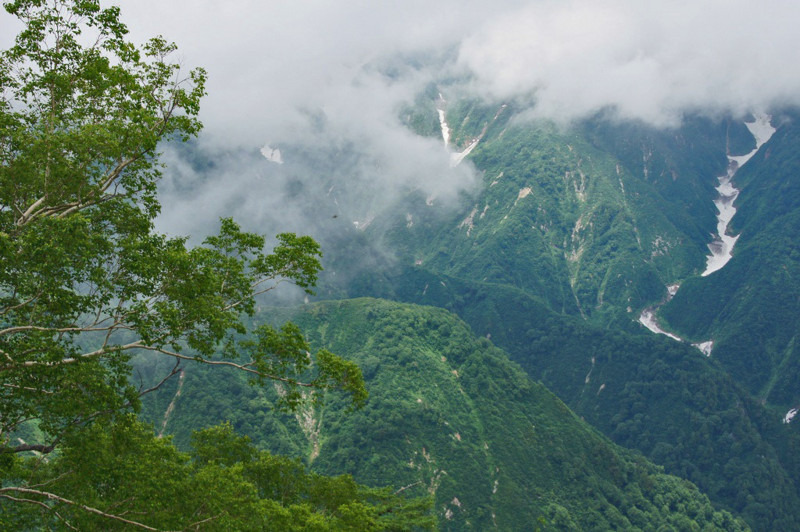 f:id:hashiba511:20120720074441j:image:w500