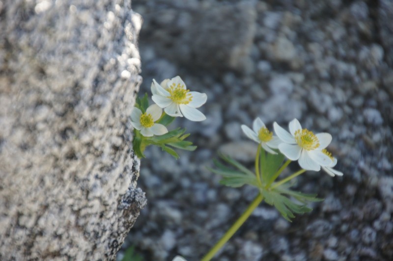 f:id:hashiba511:20120731060559j:image:w500