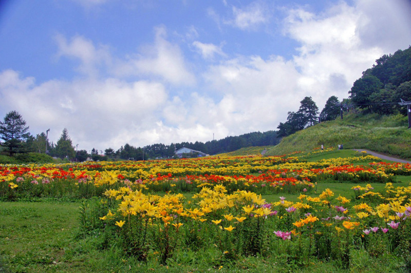 f:id:hashiba511:20120802152214j:image:w500