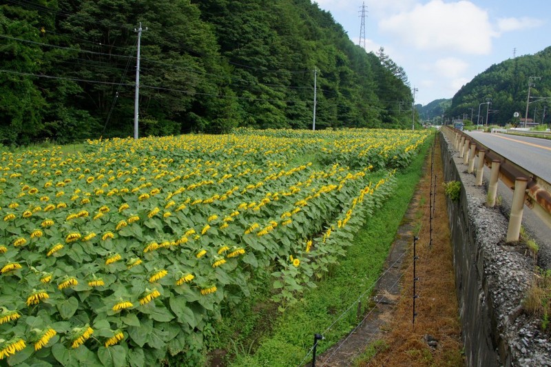 f:id:hashiba511:20120815024534j:image:w500