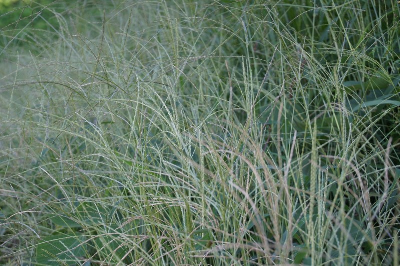f:id:hashiba511:20120821041720j:image:w500