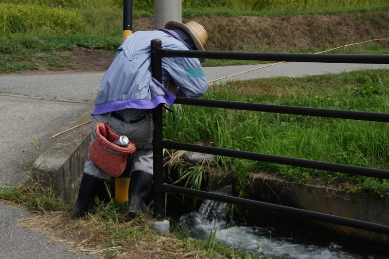 f:id:hashiba511:20120831071923j:image:w500