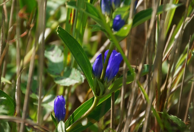 f:id:hashiba511:20120908030822j:image:w500