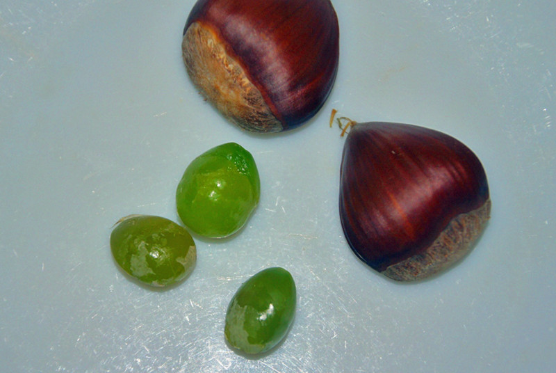 f:id:hashiba511:20120909061328j:image:w500