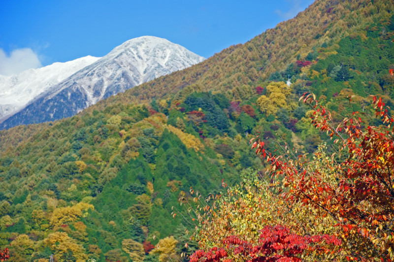 f:id:hashiba511:20121103044735j:image:w500