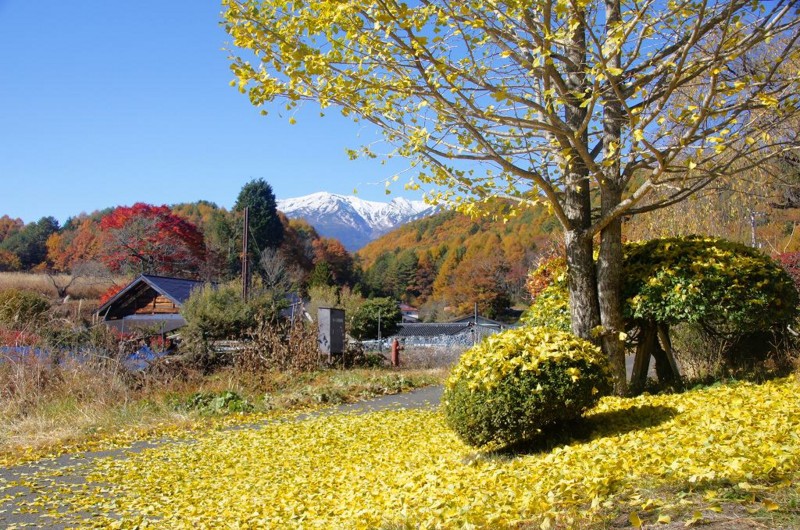 f:id:hashiba511:20121106014628j:image:w500
