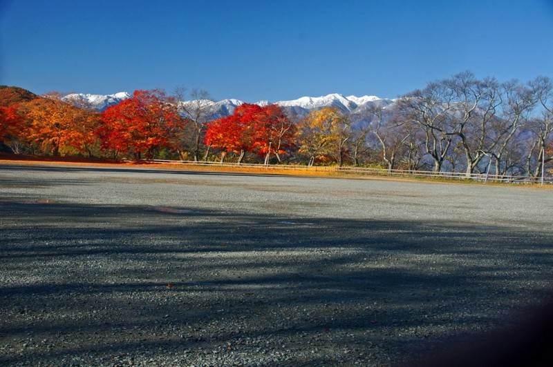 f:id:hashiba511:20121118045745j:image:w500