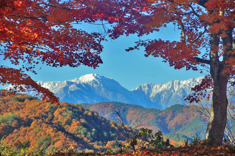 f:id:hashiba511:20121118045838j:image:w500