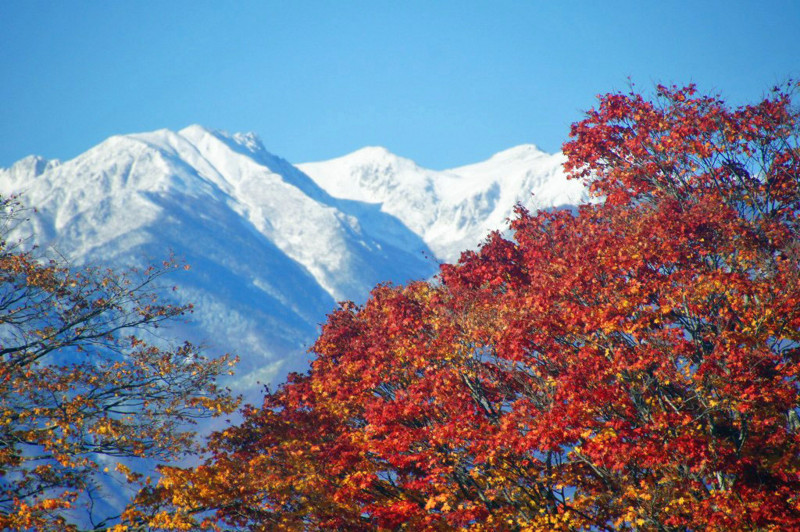 f:id:hashiba511:20121118045839j:image:w500