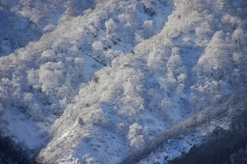f:id:hashiba511:20121126075527j:image:w500