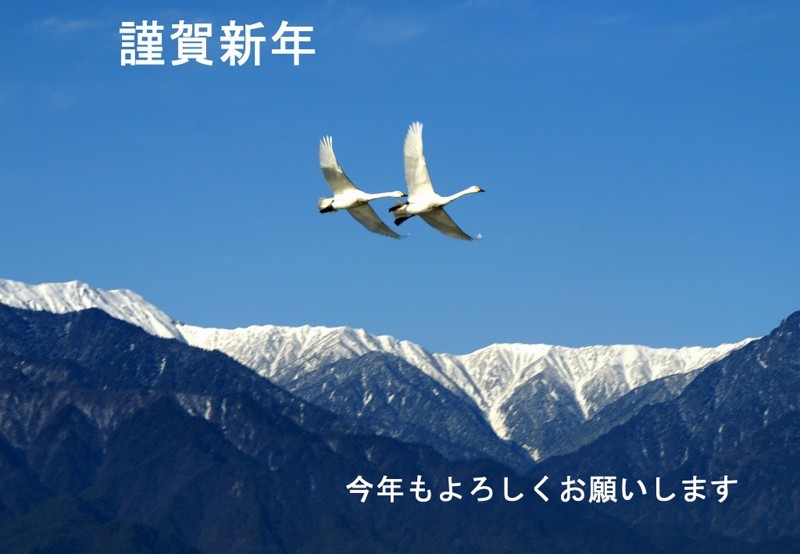 f:id:hashiba511:20130101084727j:image:w500