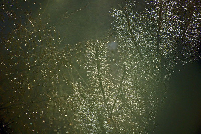 f:id:hashiba511:20130110052806j:image:w500