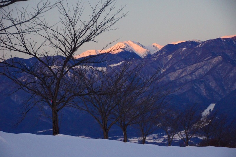 f:id:hashiba511:20130220064049j:image:w500