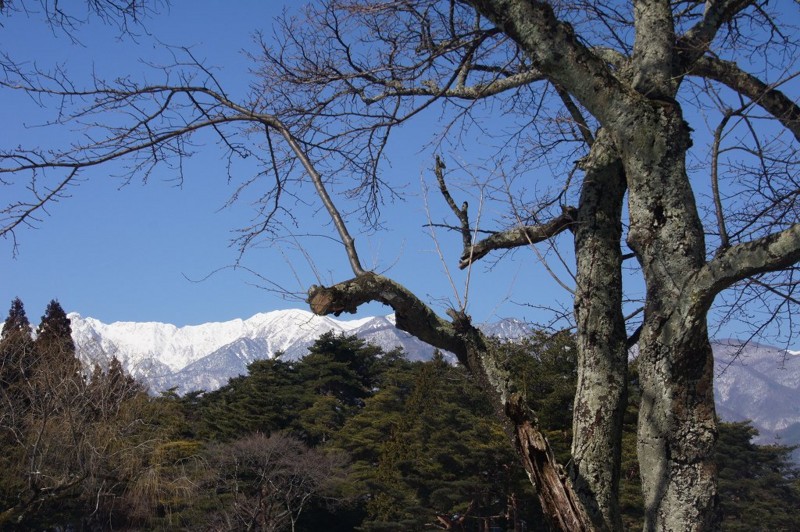 f:id:hashiba511:20130302140036j:image:w500