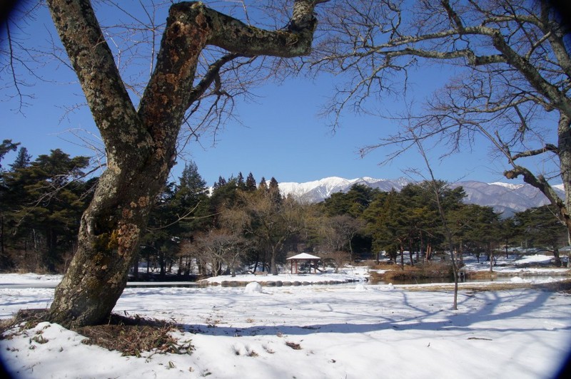 f:id:hashiba511:20130302140038j:image:w500