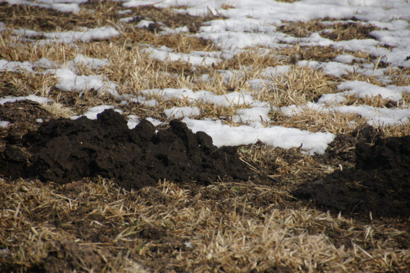 f:id:hashiba511:20130304043158j:image:w500 f:id:hashiba511:20130304043158j:image:w500