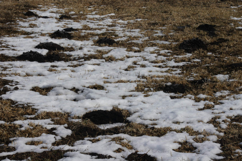 f:id:hashiba511:20130304043200j:image:w500 f:id:hashiba511:20130304043200j:image:w500