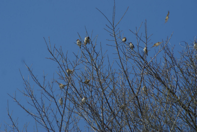 f:id:hashiba511:20130305215056j:image:w500