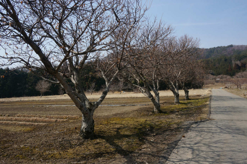 f:id:hashiba511:20130313040034j:image:w500