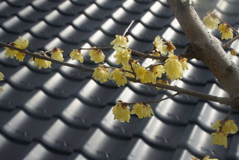 f:id:hashiba511:20130320192445j:image:w500