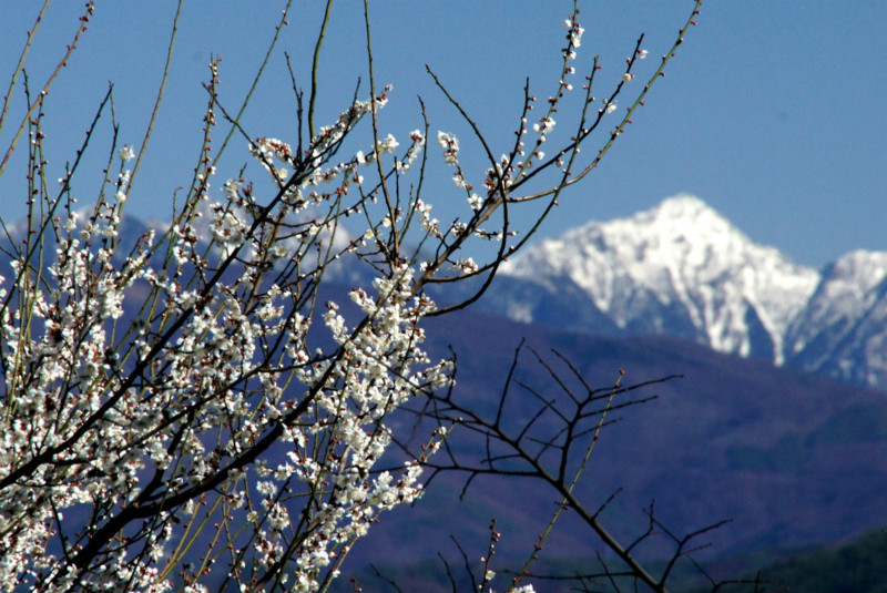 f:id:hashiba511:20130330061048j:image:w500