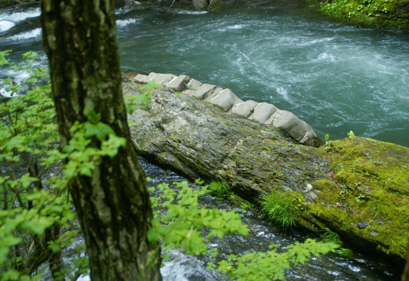 f:id:hashiba511:20130605050317j:image:w700