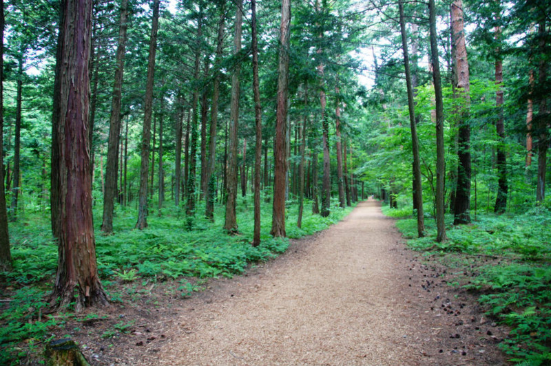 f:id:hashiba511:20130614045943j:image:w700