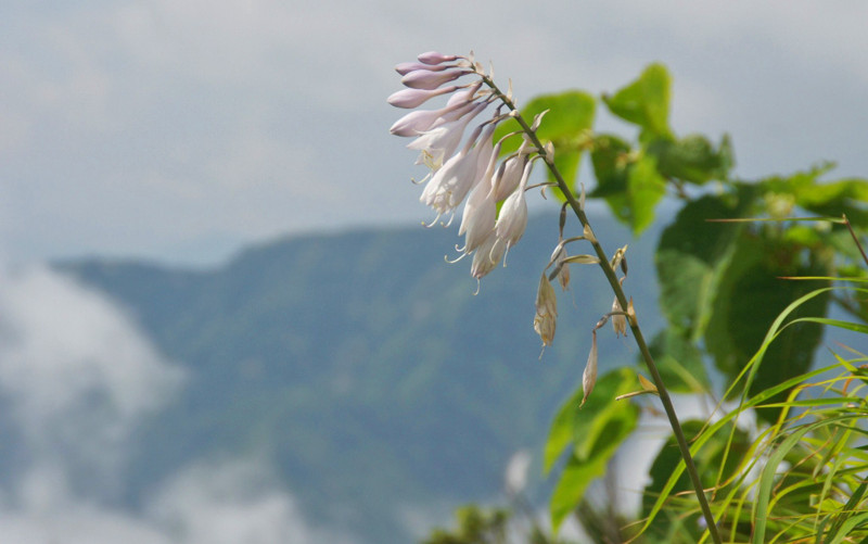 f:id:hashiba511:20130827052539j:image:w700