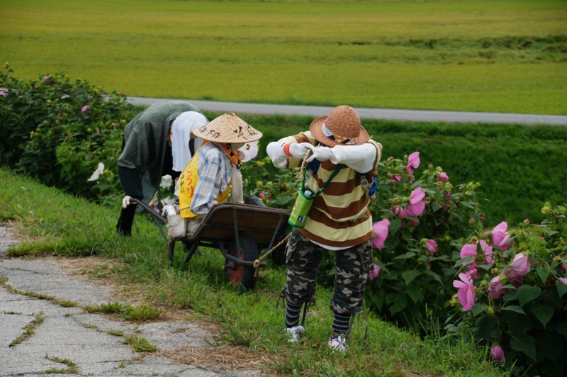 f:id:hashiba511:20130828151805j:image:w700