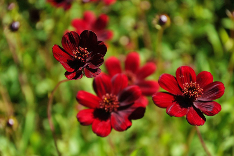 f:id:hashiba511:20130830054834j:image:w700