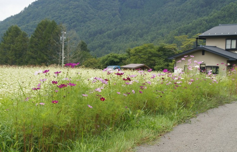 f:id:hashiba511:20130901052035j:image:w700