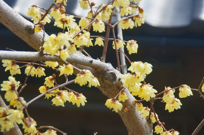 f:id:hashiba511:20140321145805j:image:w700