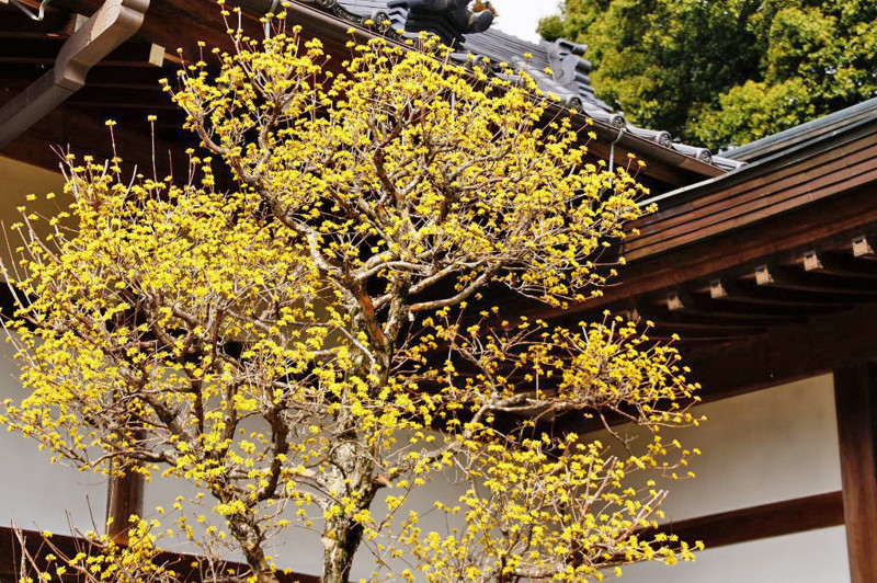 f:id:hashiba511:20140321145807j:image:w700