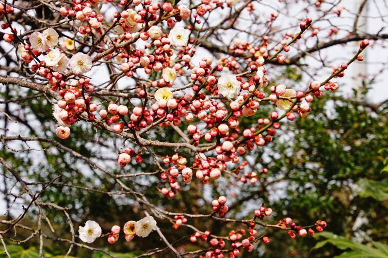 f:id:hashiba511:20140321145809j:image:w700