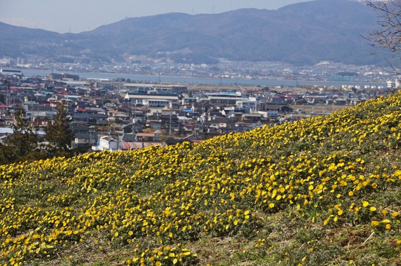 f:id:hashiba511:20140330051830j:image:w700