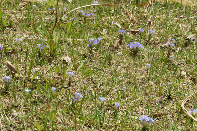 f:id:hashiba511:20140528043442j:image f:id:hashiba511:20140528043442j:image