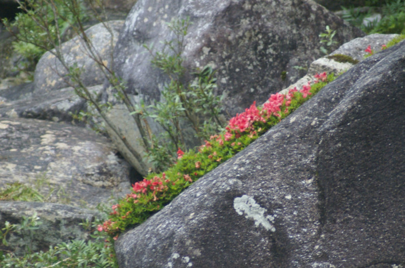 f:id:hashiba511:20140703033139j:image