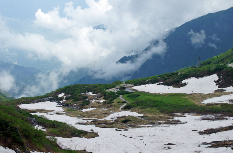 f:id:hashiba511:20140713080207j:image