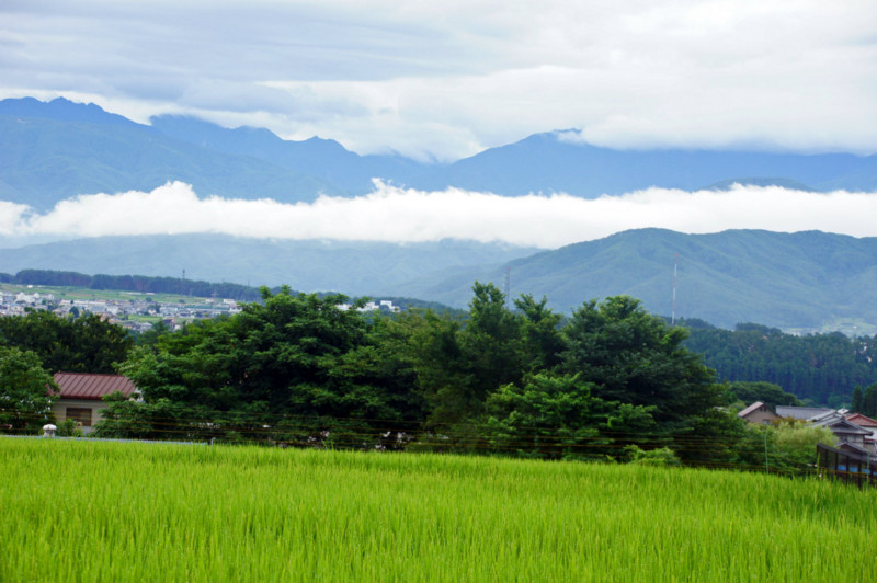 f:id:hashiba511:20140806081250j:image