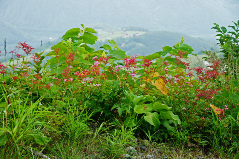 f:id:hashiba511:20140814052055j:image