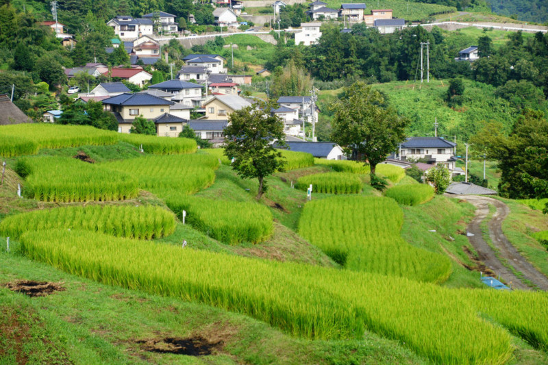 f:id:hashiba511:20140815010345j:image