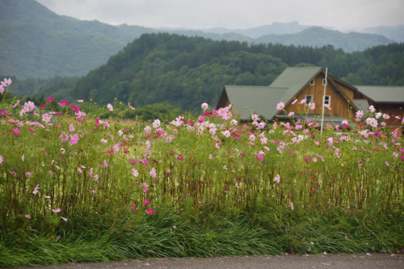 f:id:hashiba511:20140830185926j:image